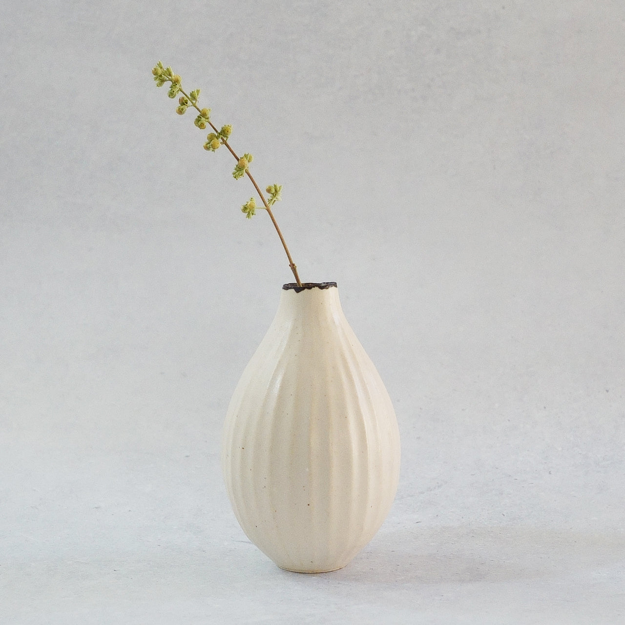 216A White Lily