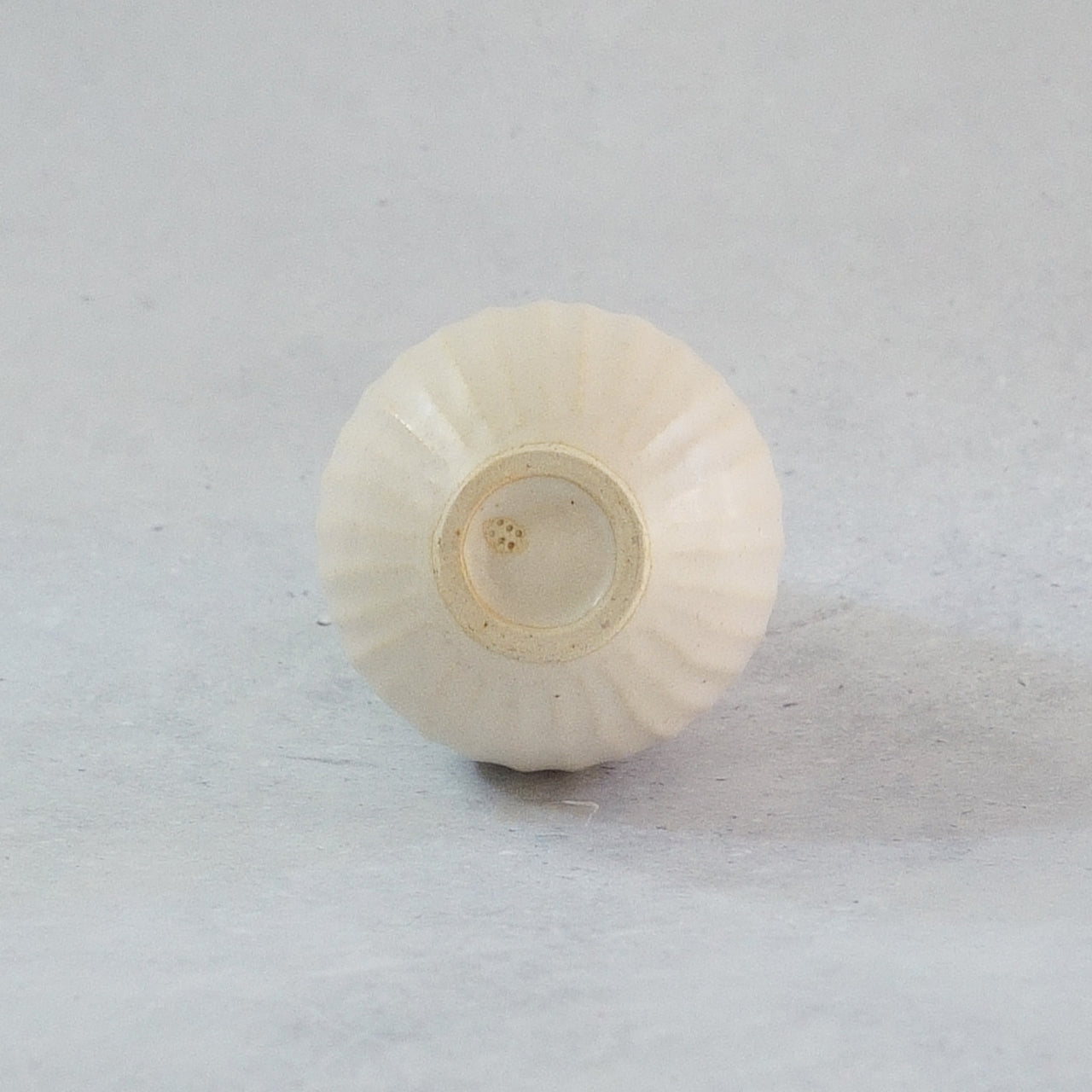 216A White Lily
