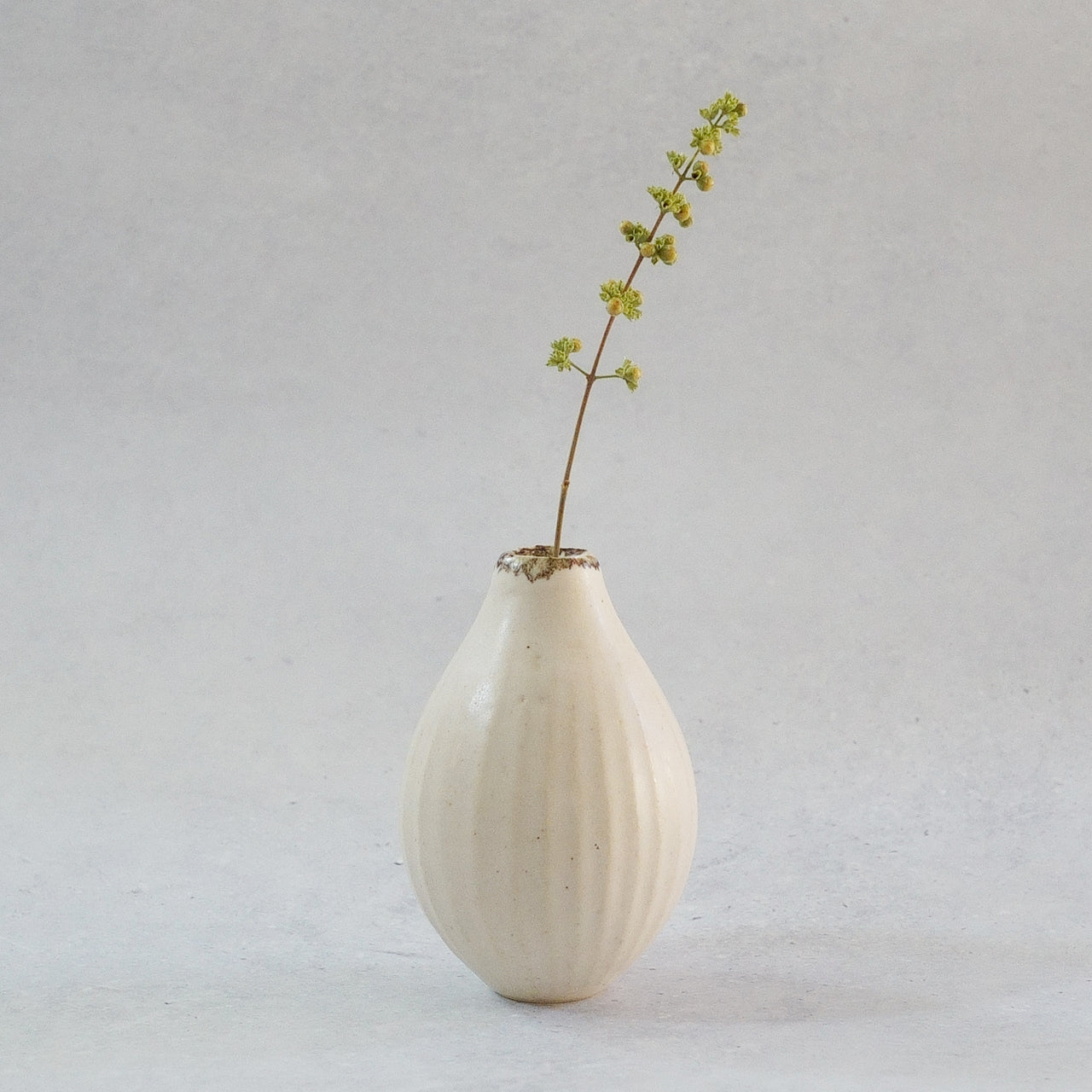 216B White Lily
