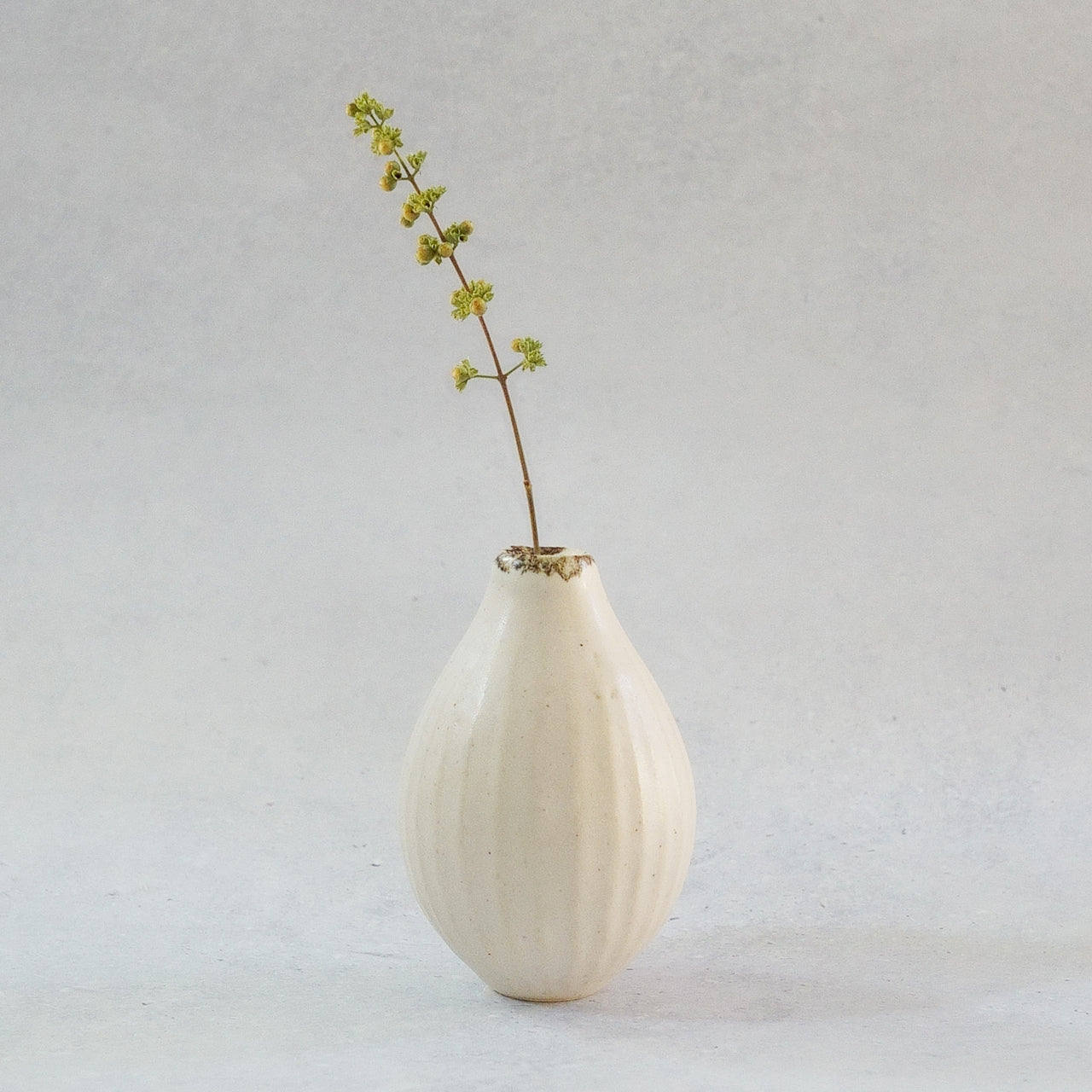 216B White Lily