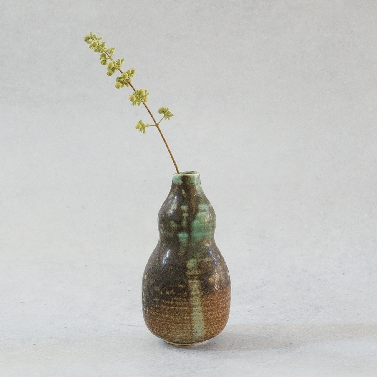 228 Gourd