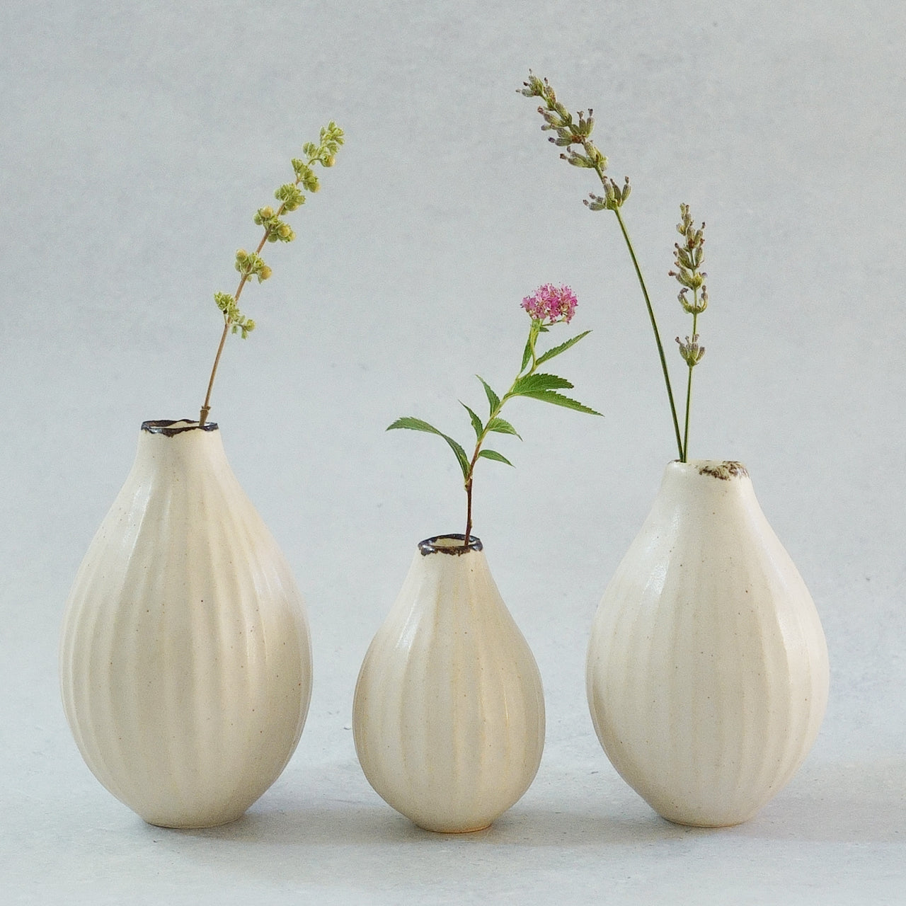 216B White Lily