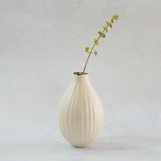 216A White Lily