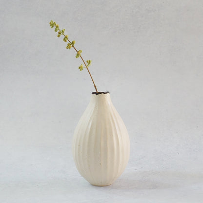 216A White Lily