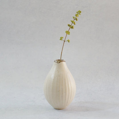 216B White Lily