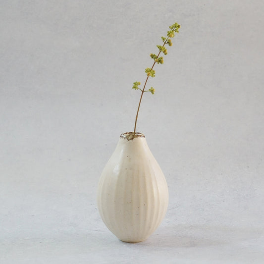 216B White Lily