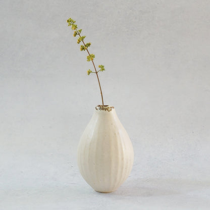 216B White Lily