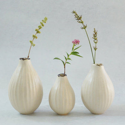 216A White Lily